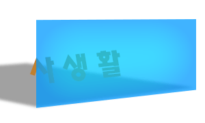 personal life in Korean 사생활