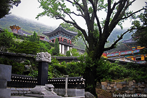 Your Korean love story&nbsp;#2