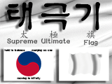 South Korean flag&nbsp;infographic
