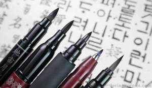 Korean calligraphy Kuretake bimoji Monami felt tip hairs 붓 붓펜 쿠레타케 모나미