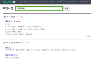 Korean dictionary free online Naver with pronunciation