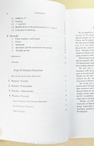 Sounds of Korean pronunciation guide contents vowels consonants adjustments prosody practice exercises